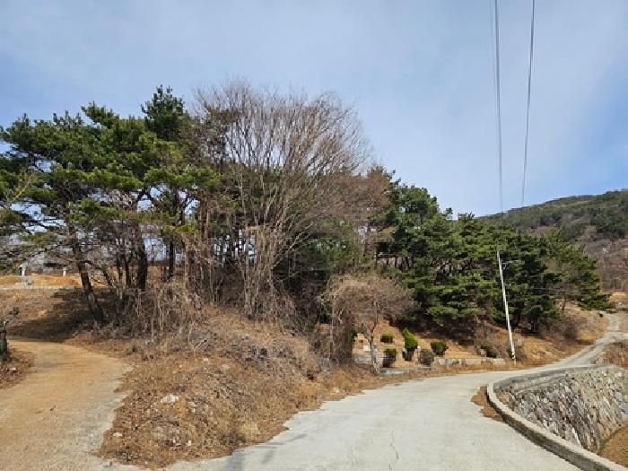 사진 93