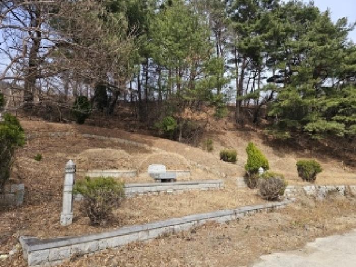 사진 95