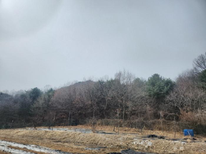 사진 1