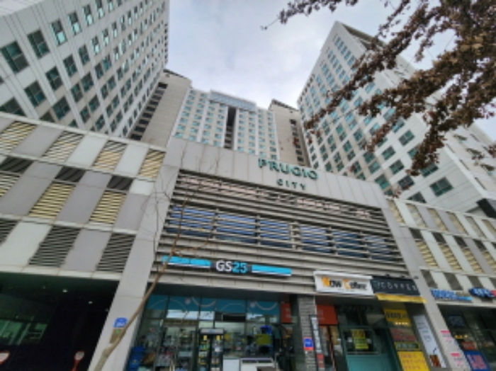 사진 11
