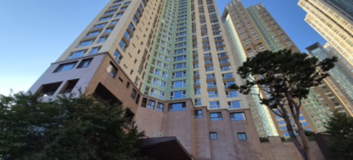 사진 9