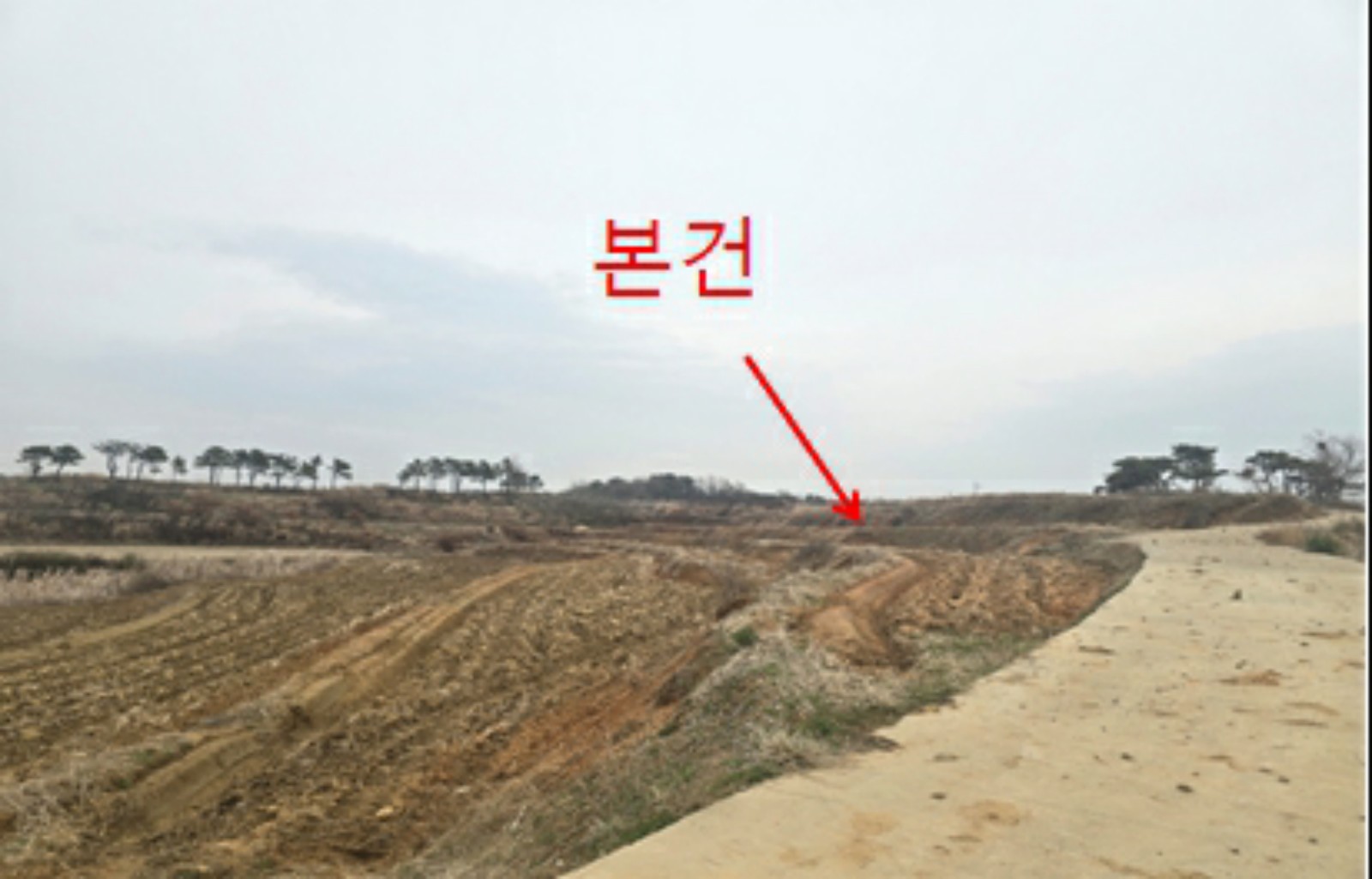 사진 1