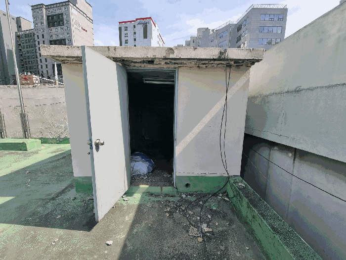 사진 11