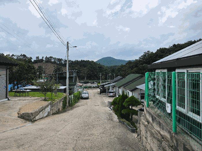 사진 7