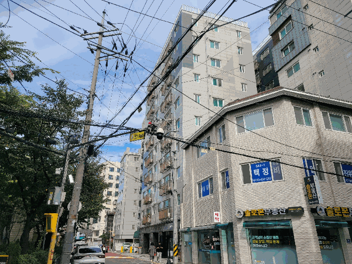 사진 12