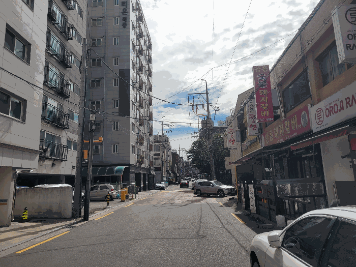 사진 15