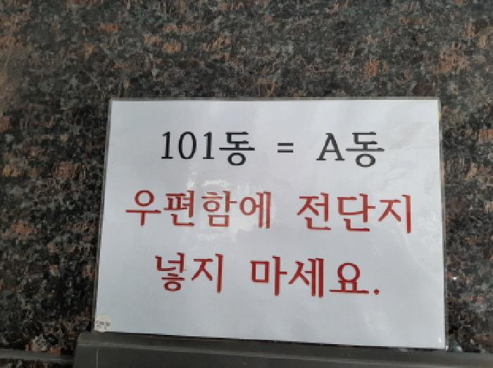 사진 5