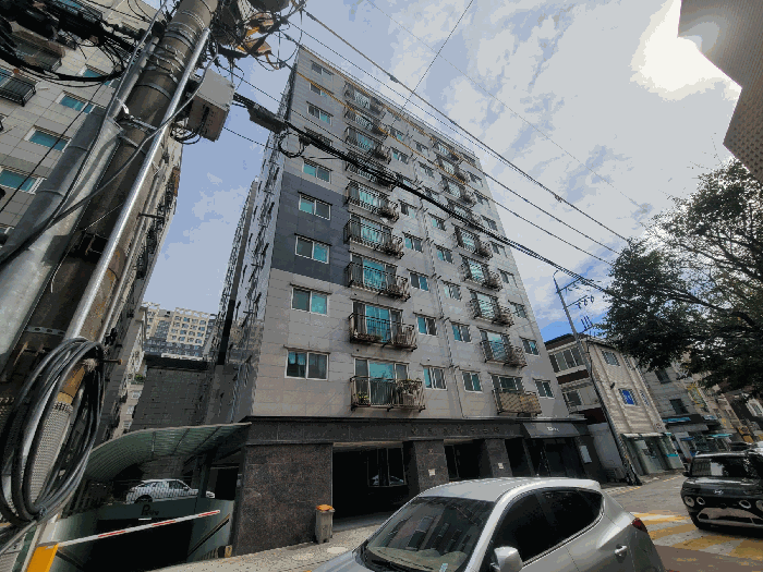 사진 8