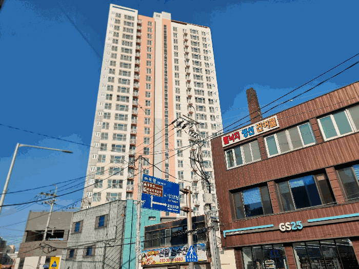 사진 6