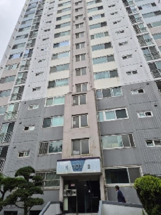 사진 7
