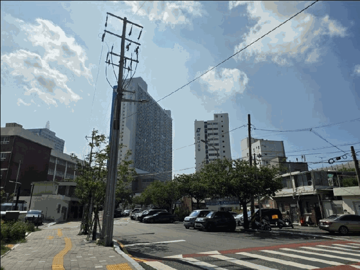 사진 4