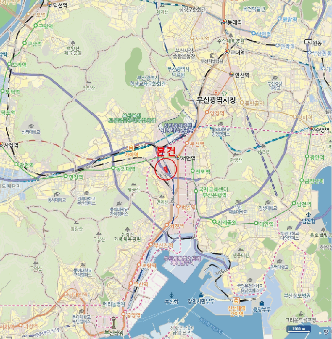 사진 6