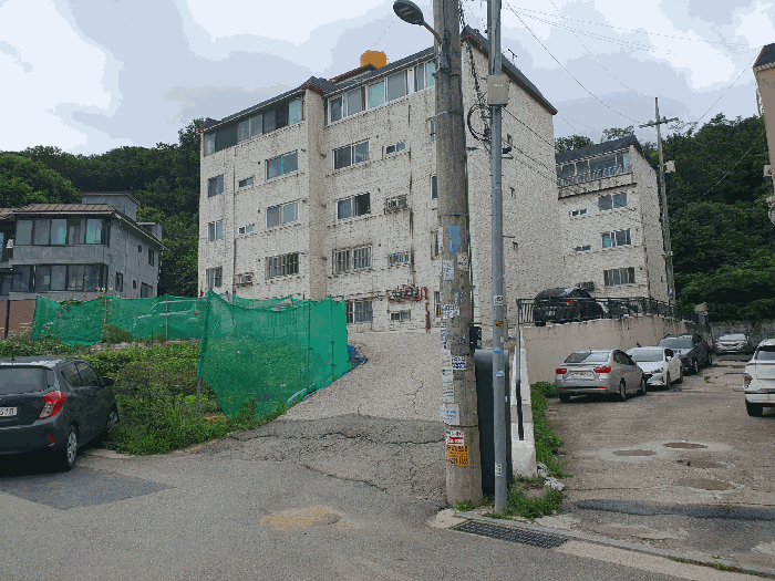 사진 11