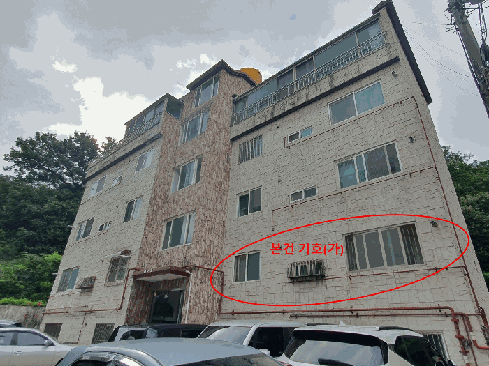 사진 12