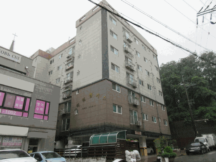 사진 9