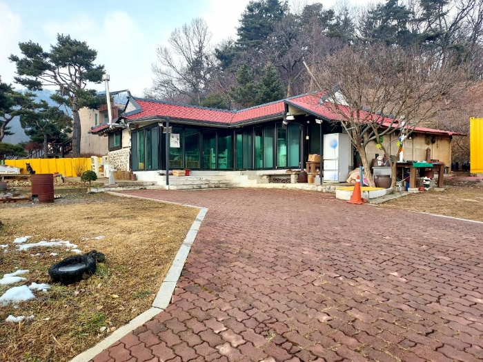 사진 11