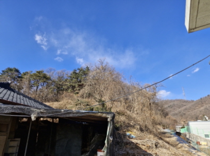 사진 3