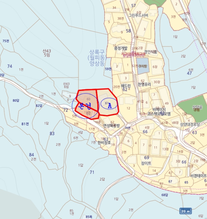 사진 9