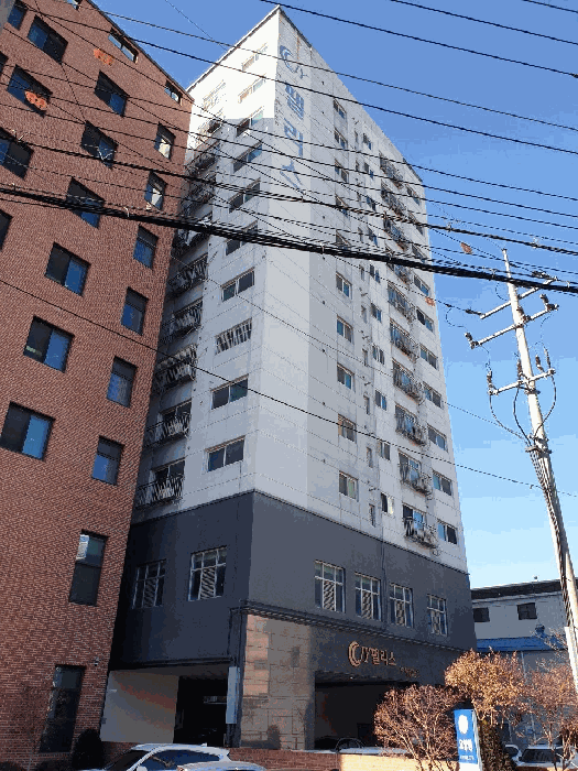 사진 5