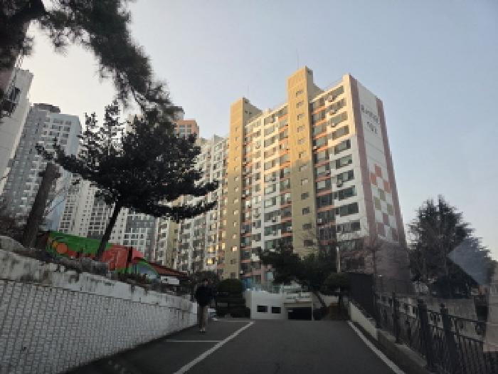 사진 8