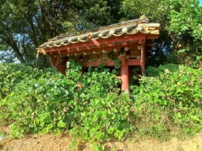 사진 19