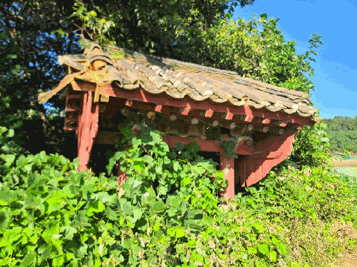 사진 34