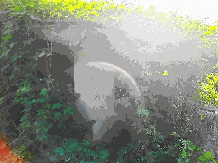사진 35