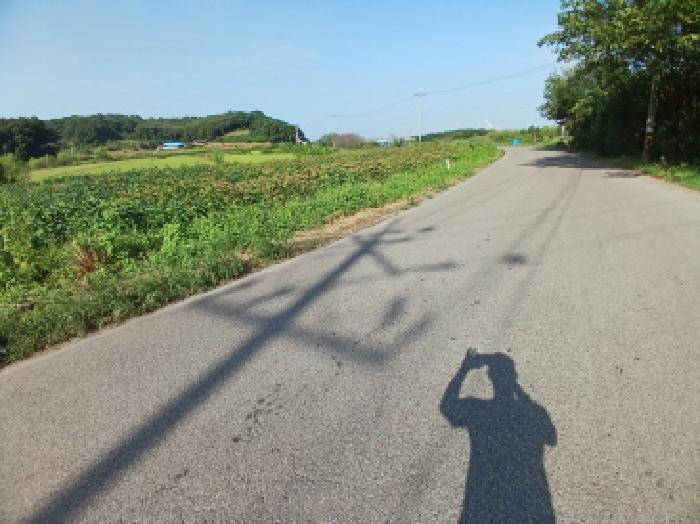사진 9