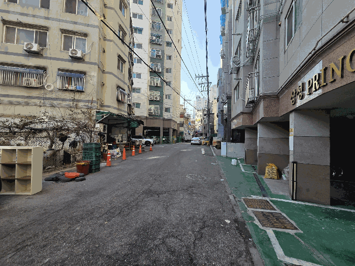 사진 10
