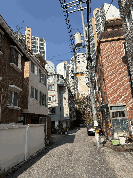 사진 10