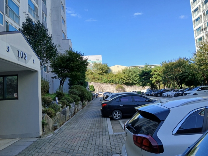 사진 10