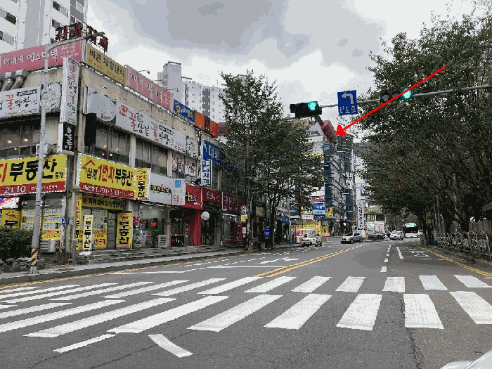 사진 9