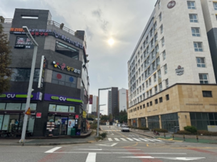 사진 10