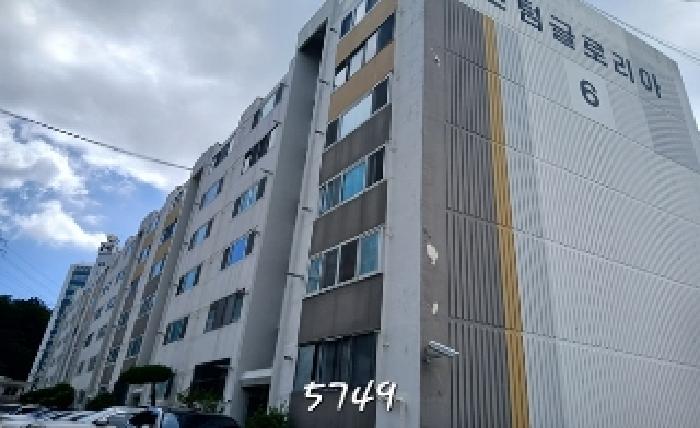 사진 1
