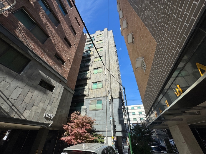 사진 8