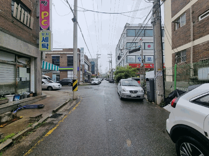 사진 6