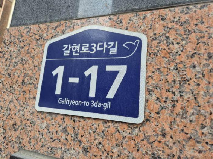 사진 10