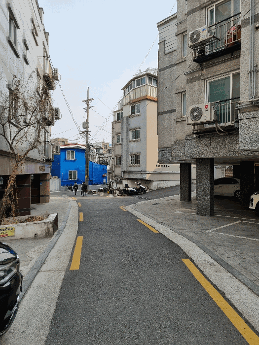 사진 3