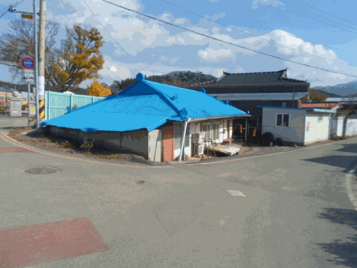 사진 11