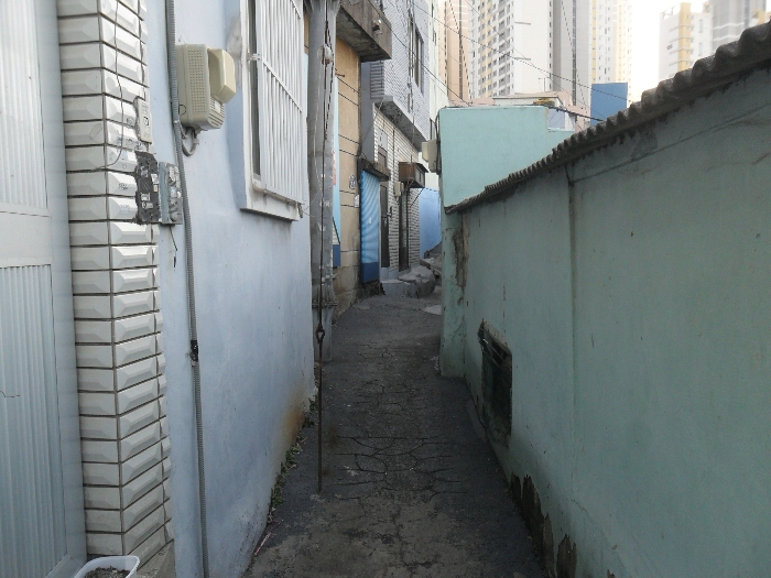 사진 1