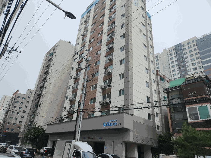 사진 8