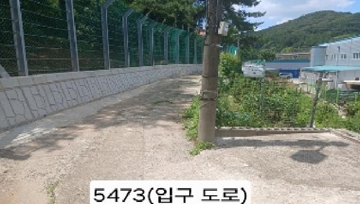 사진 1