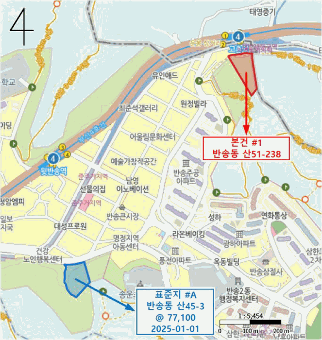 사진 11
