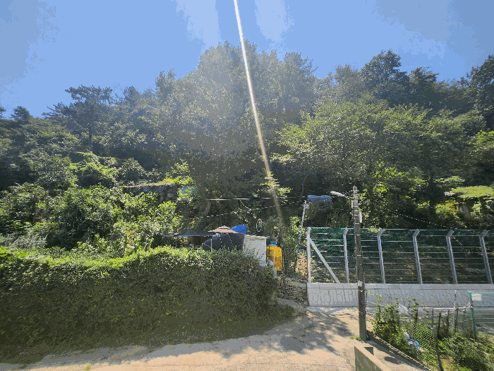 사진 13