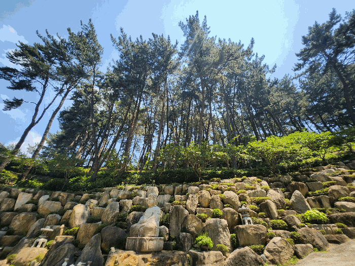 사진 8
