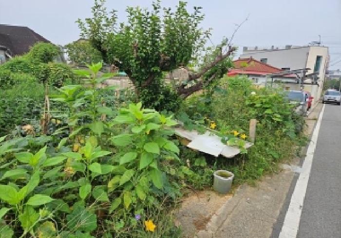 사진 13
