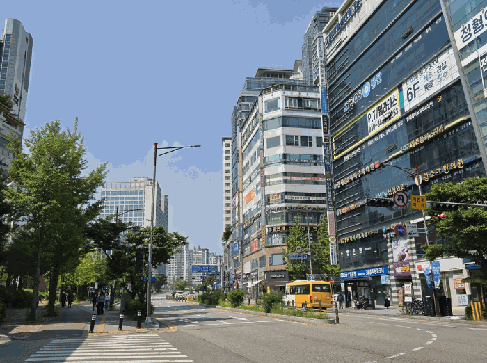 사진 10