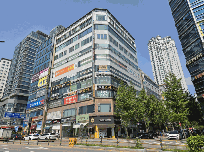 사진 11
