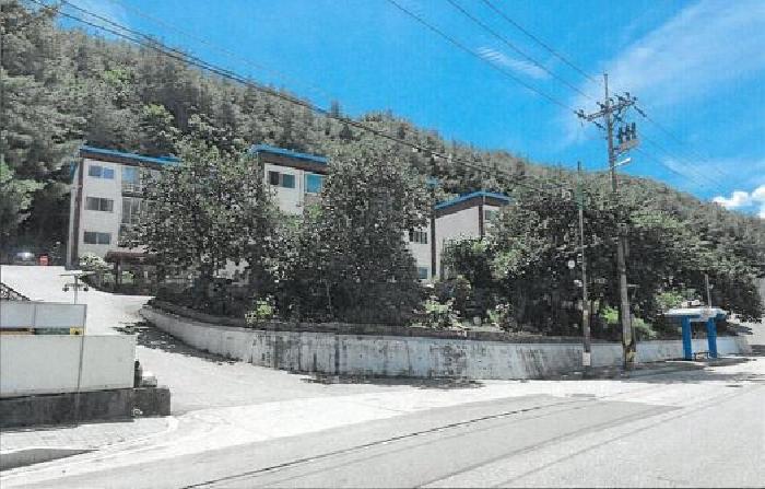 사진 1