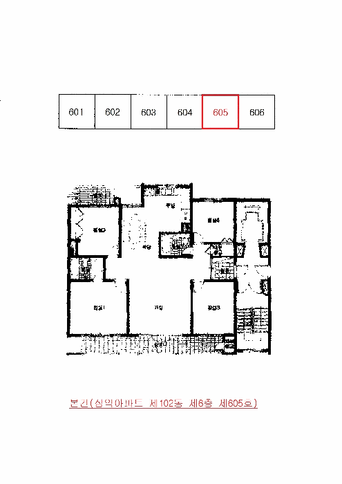 사진 5